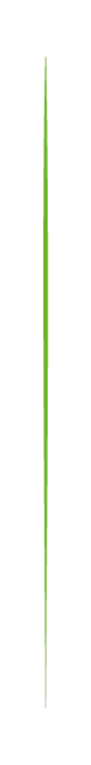 Vertical Line